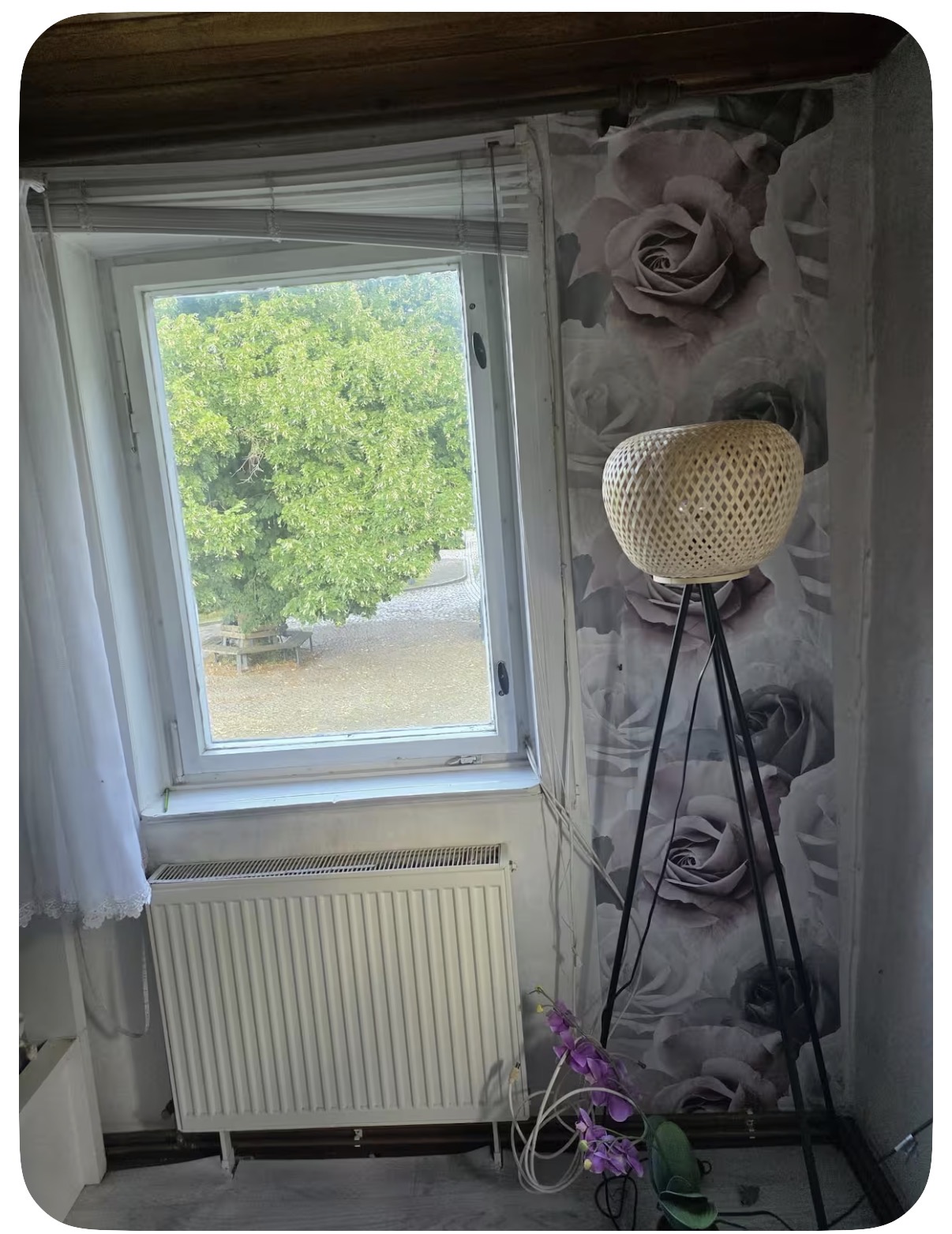 Fensterplatz im Zimmer