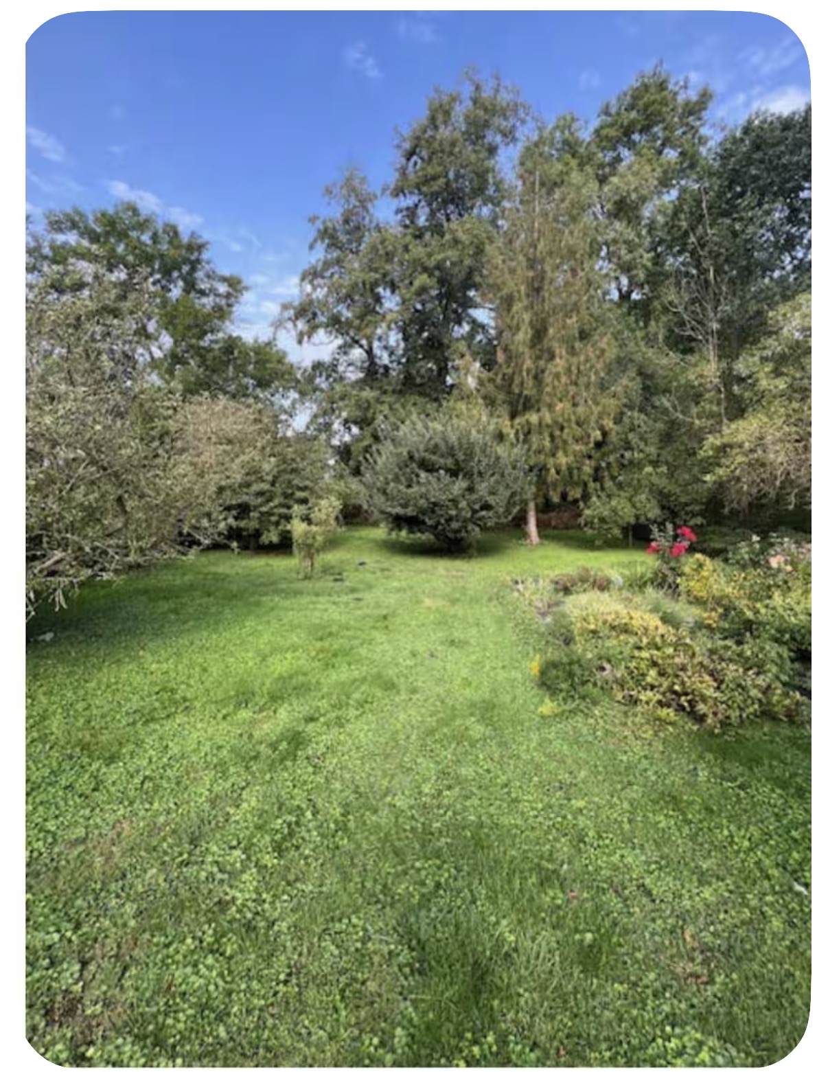 Garten der Unterkunft